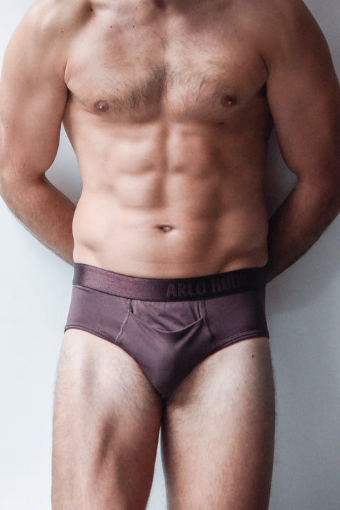 Maroon Brief