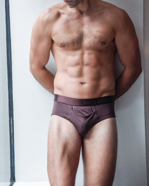 Maroon Brief