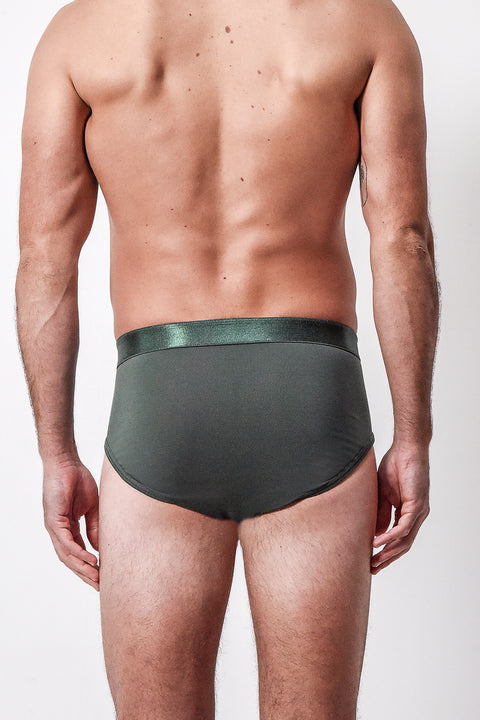 Forest Brief