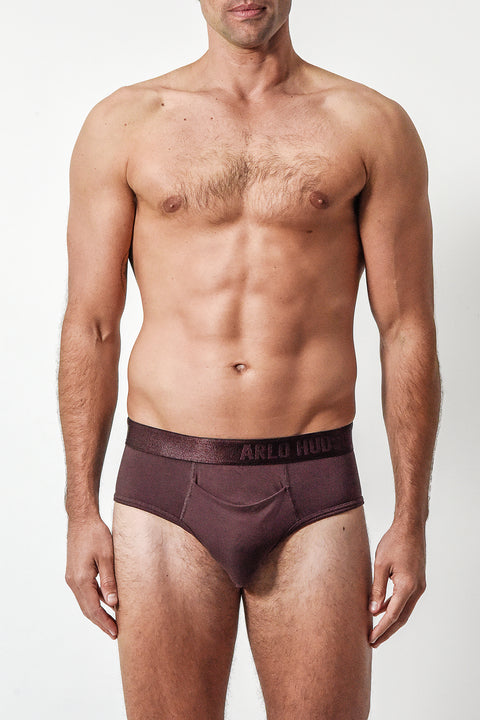 Maroon Brief