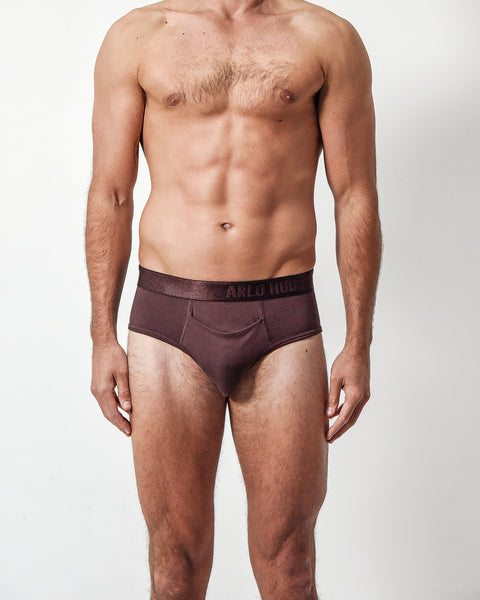 Maroon Brief