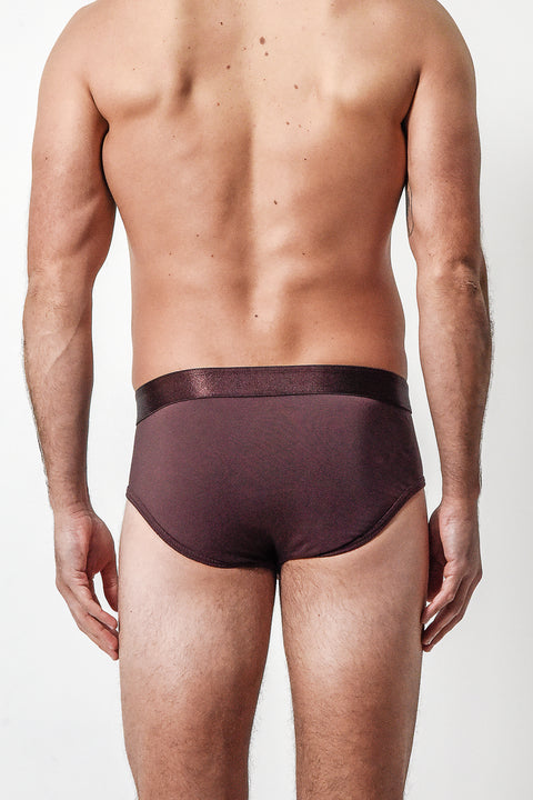 Maroon Brief