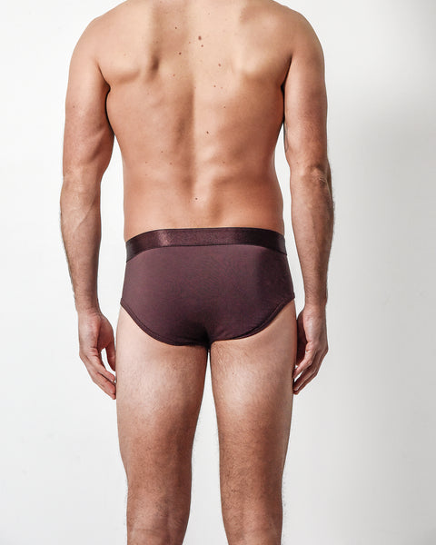 Maroon Brief